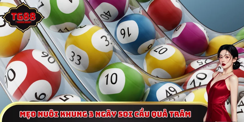 Mẹo nuôi khung 3 ngày soi cầu quả trám