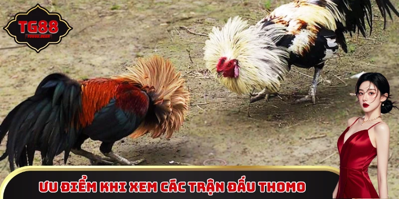 Ưu điểm khi xem các trận đấu Thomo